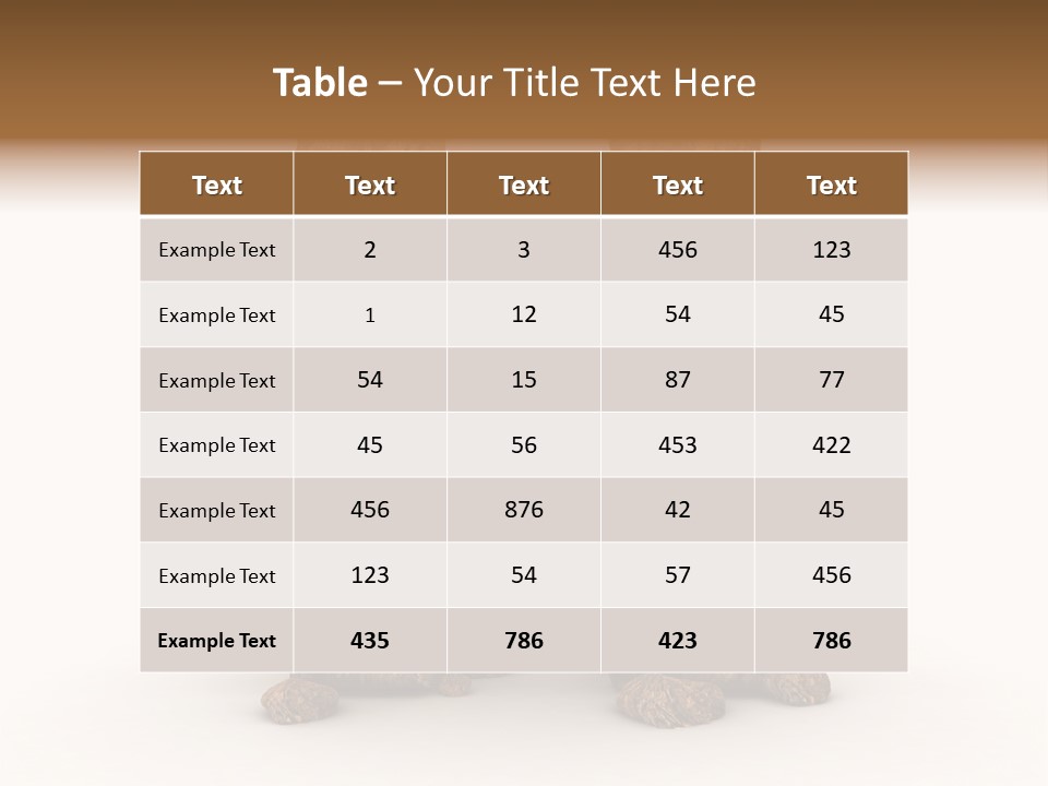 Typeset Decorative Write PowerPoint Template