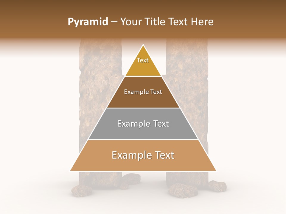 Typeset Decorative Write PowerPoint Template