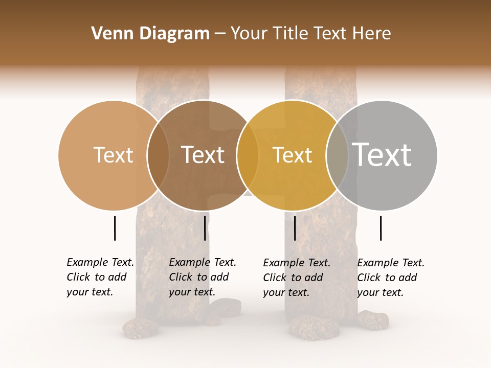 Typeset Decorative Write PowerPoint Template