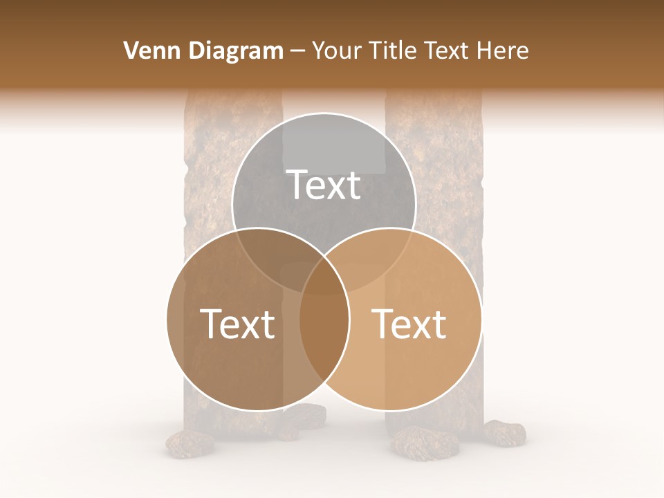 Typeset Decorative Write PowerPoint Template