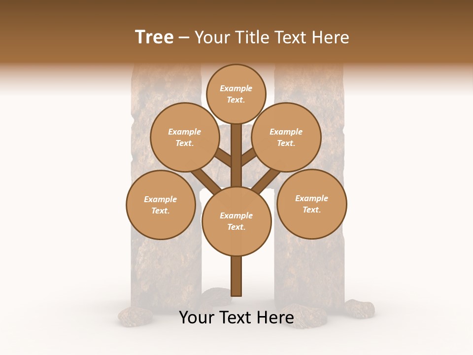 Typeset Decorative Write PowerPoint Template