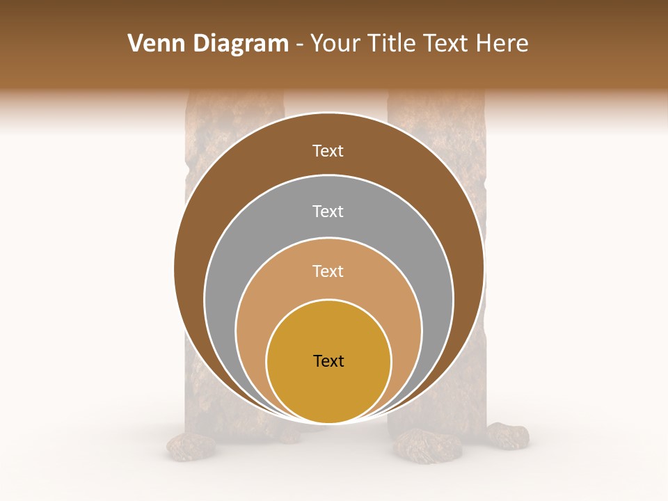 Typeset Decorative Write PowerPoint Template