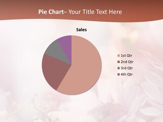 Bunch Pastel Water PowerPoint Template