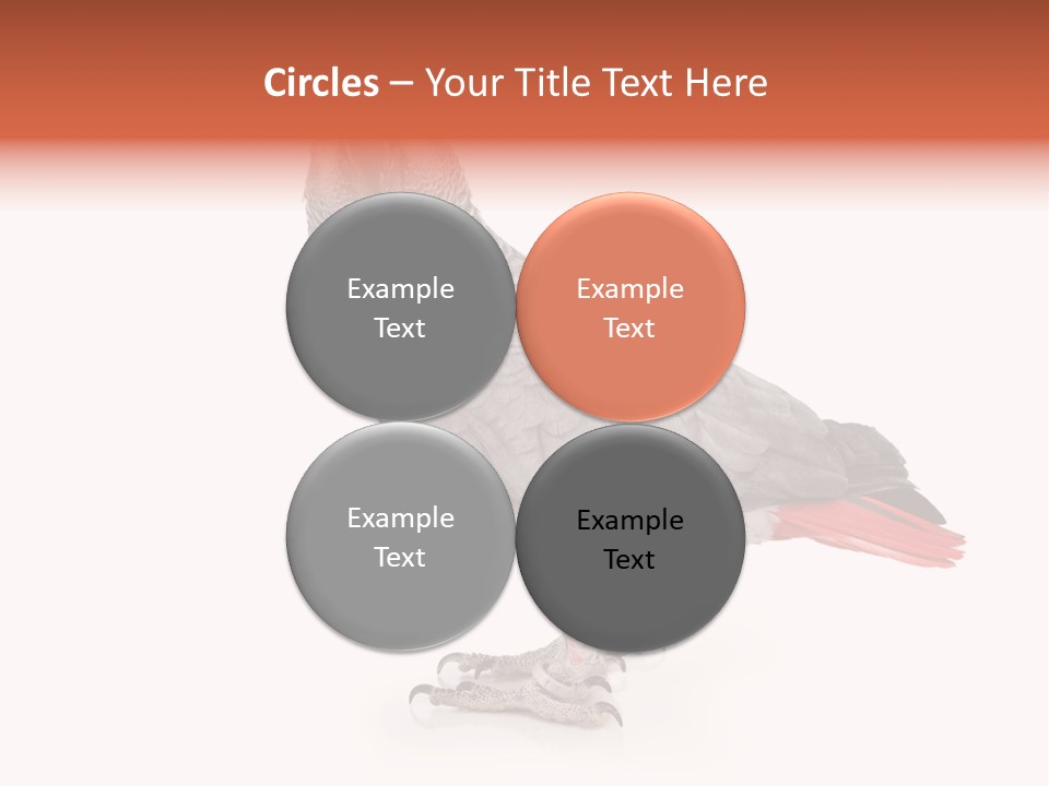 Small African Portrait PowerPoint Template