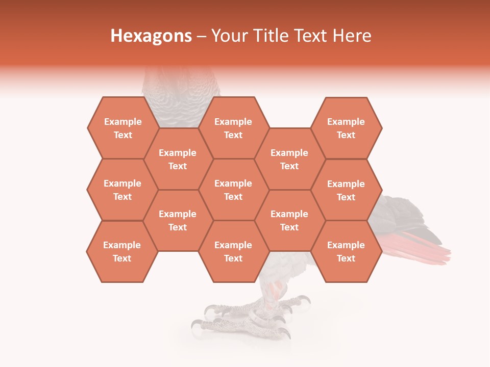 Small African Portrait PowerPoint Template