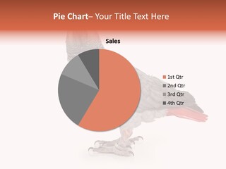 Small African Portrait PowerPoint Template