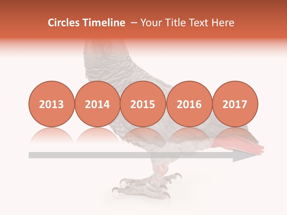 Small African Portrait PowerPoint Template