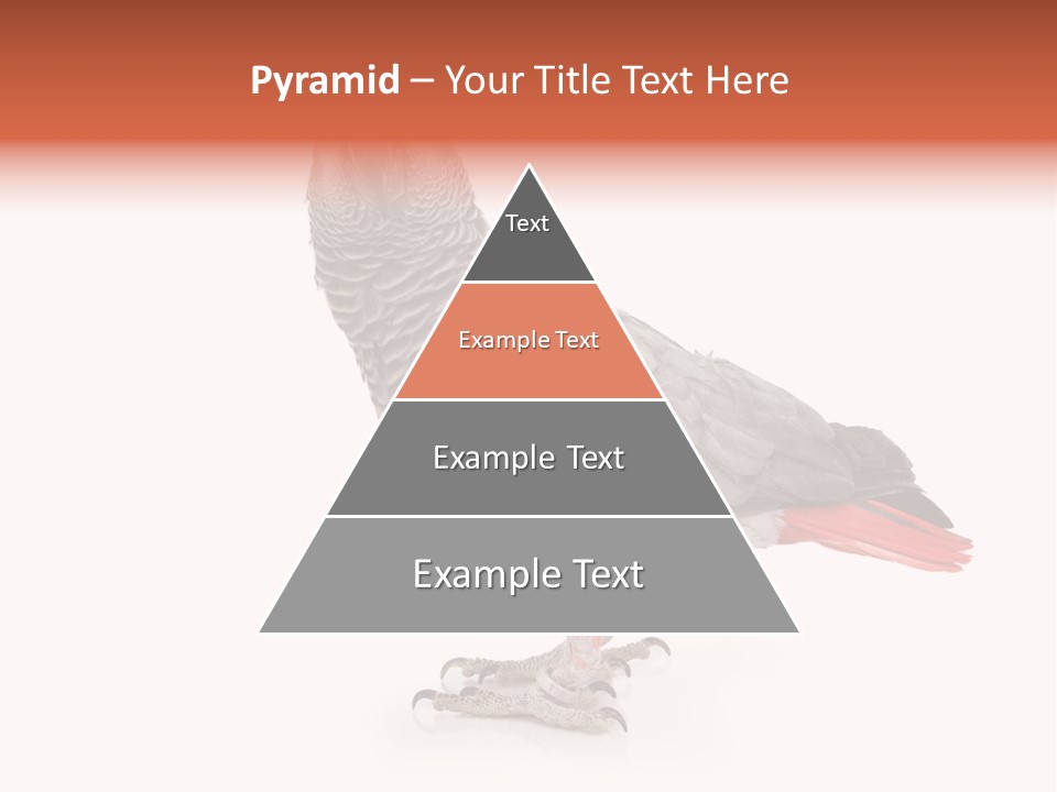 Small African Portrait PowerPoint Template