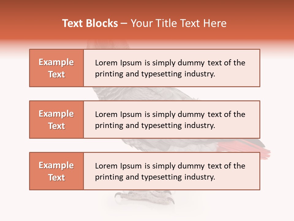 Small African Portrait PowerPoint Template