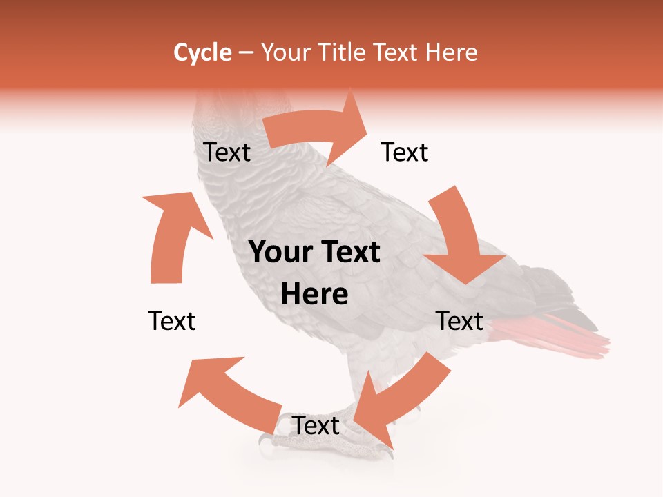 Small African Portrait PowerPoint Template