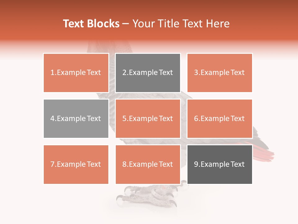 Small African Portrait PowerPoint Template