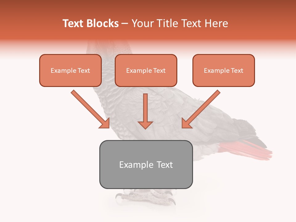 Small African Portrait PowerPoint Template