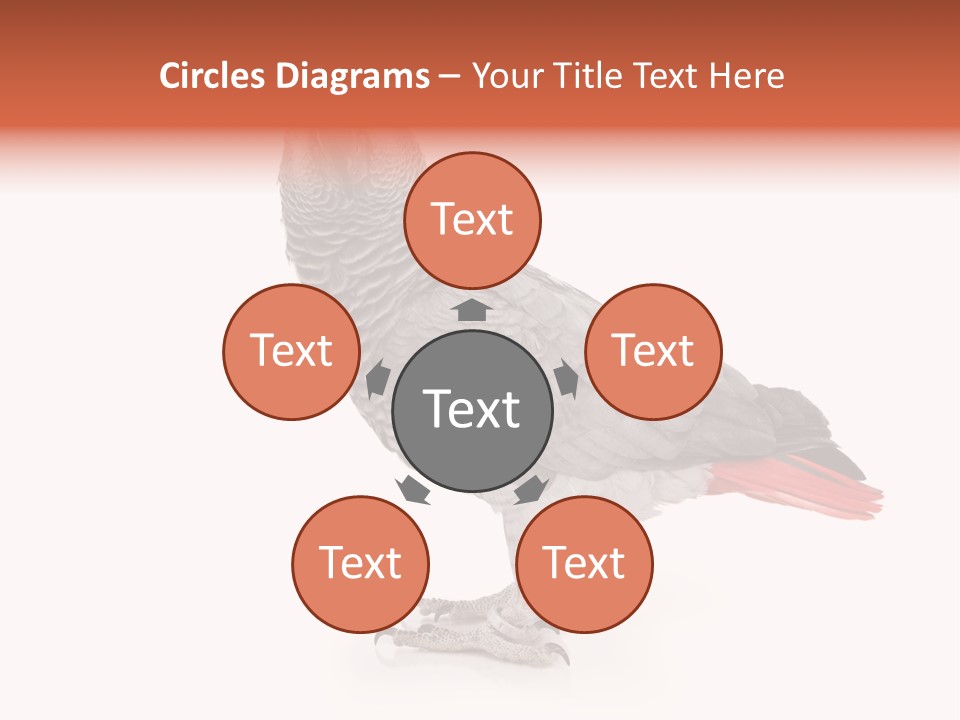 Small African Portrait PowerPoint Template