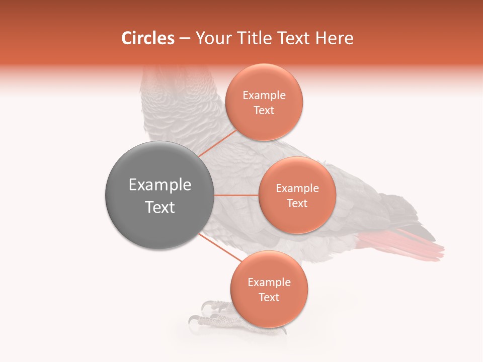 Small African Portrait PowerPoint Template