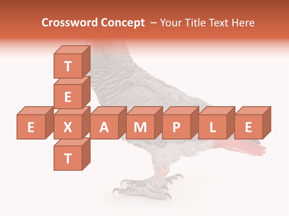 Small African Portrait PowerPoint Template