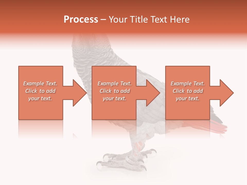 Small African Portrait PowerPoint Template