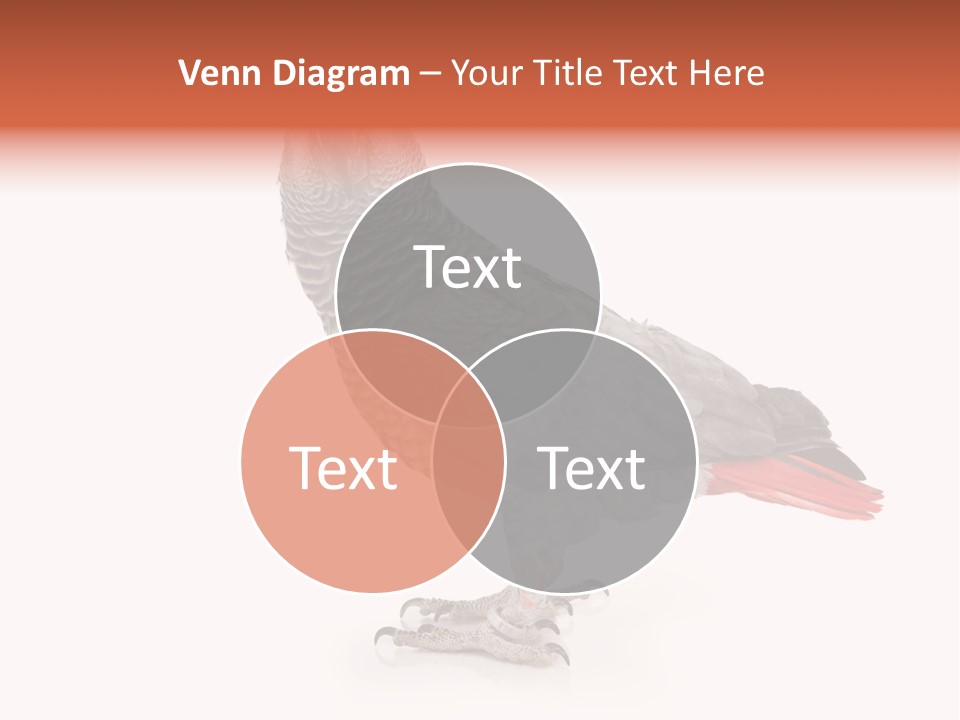 Small African Portrait PowerPoint Template