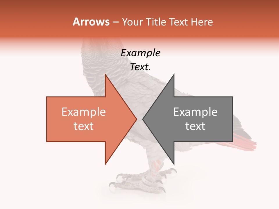 Small African Portrait PowerPoint Template