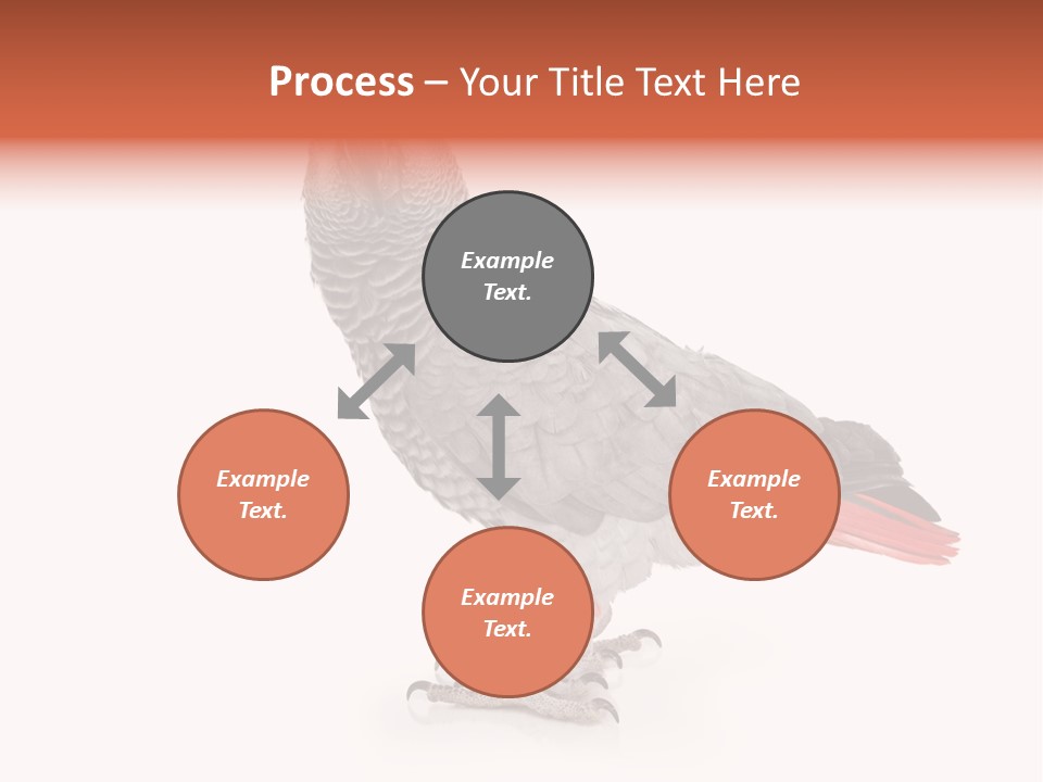 Small African Portrait PowerPoint Template