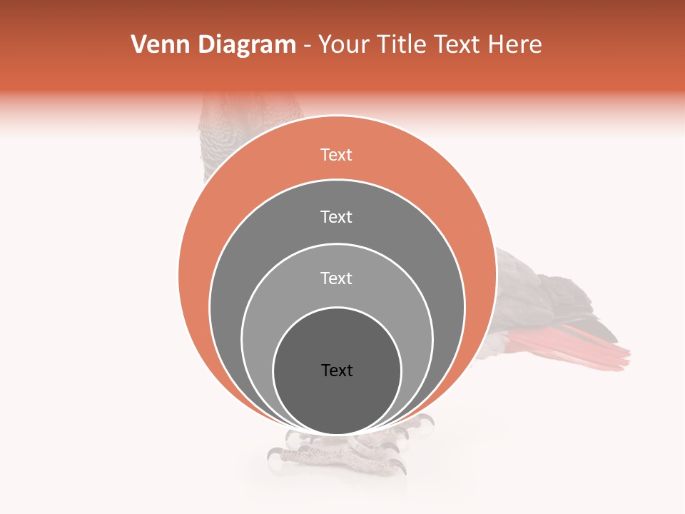 Small African Portrait PowerPoint Template