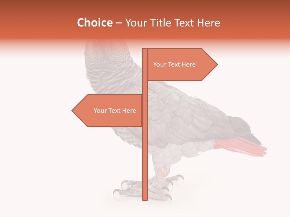 Small African Portrait PowerPoint Template