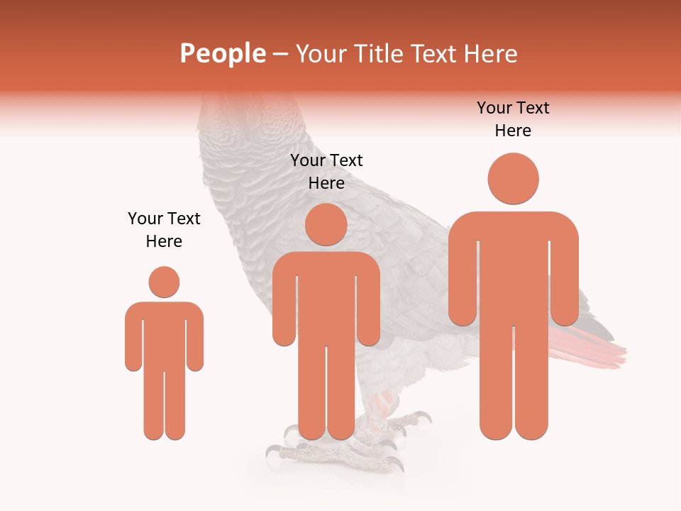 Small African Portrait PowerPoint Template