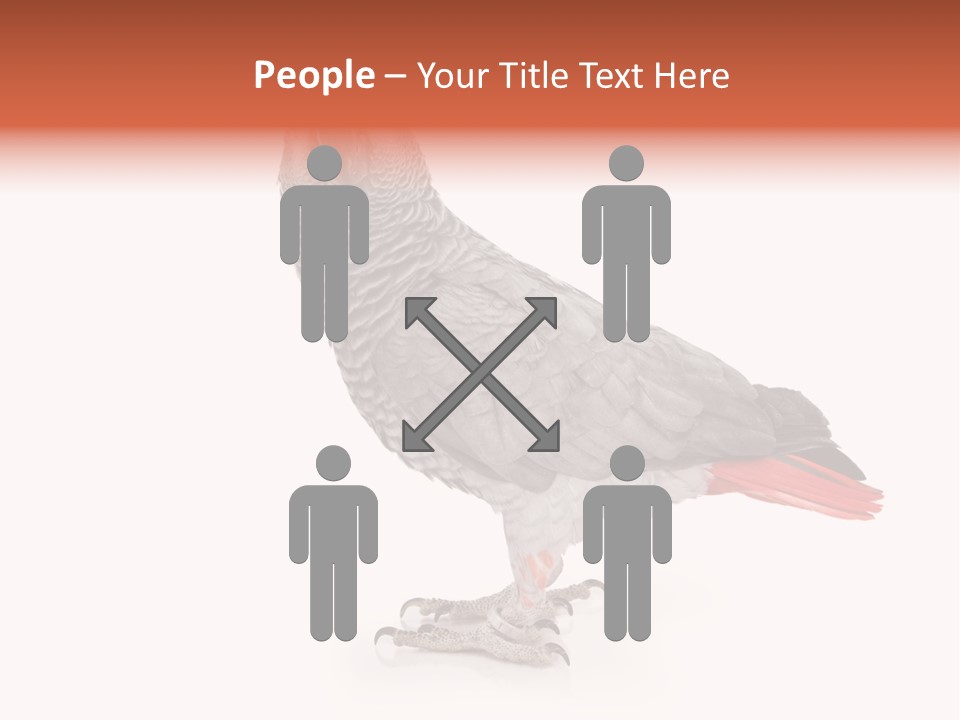 Small African Portrait PowerPoint Template