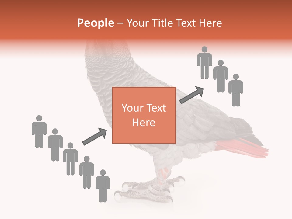 Small African Portrait PowerPoint Template