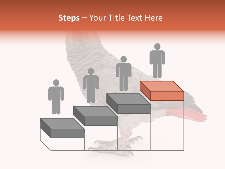 Small African Portrait PowerPoint Template