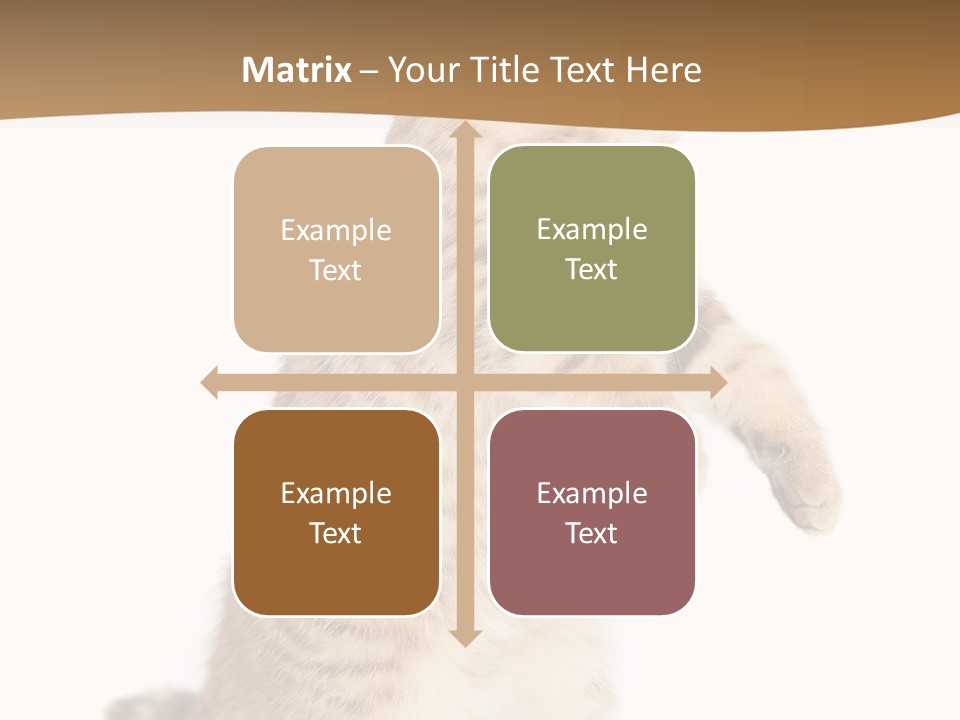 Carnivore Pet Looking PowerPoint Template