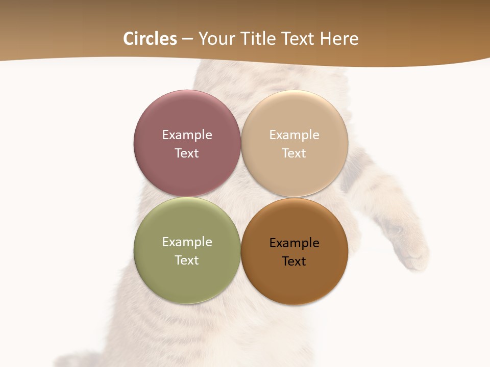 Carnivore Pet Looking PowerPoint Template