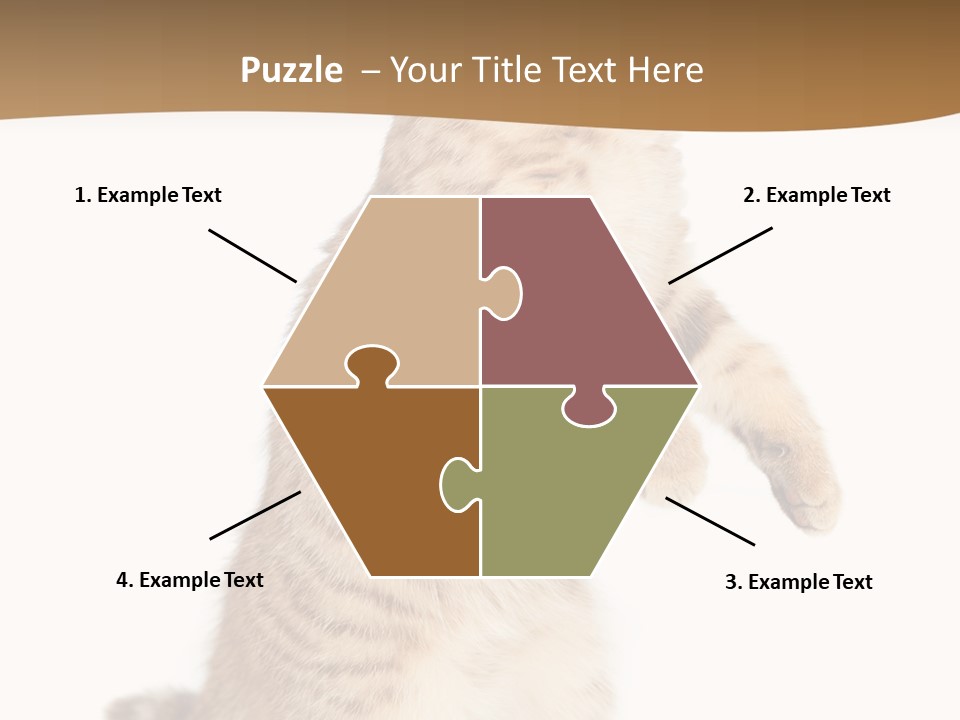 Carnivore Pet Looking PowerPoint Template