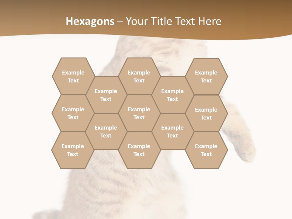 Carnivore Pet Looking PowerPoint Template
