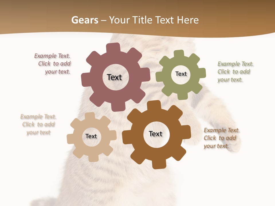 Carnivore Pet Looking PowerPoint Template