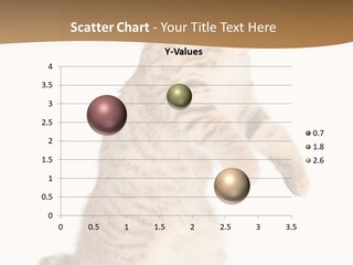 Carnivore Pet Looking PowerPoint Template