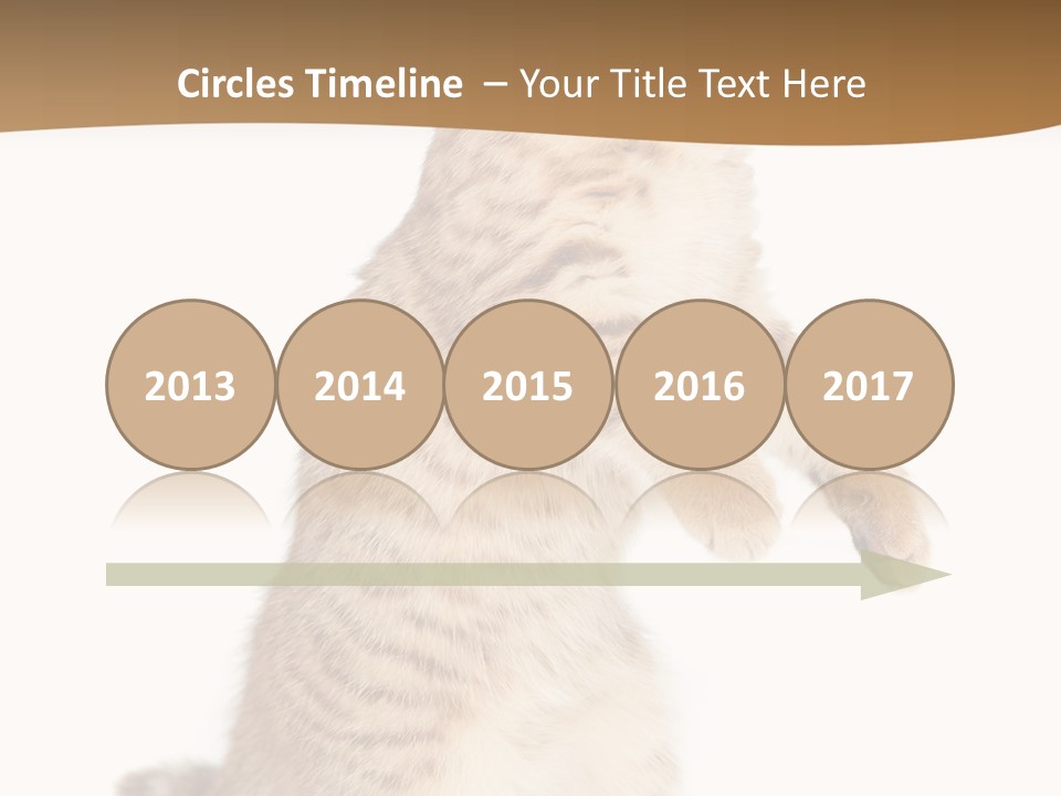 Carnivore Pet Looking PowerPoint Template