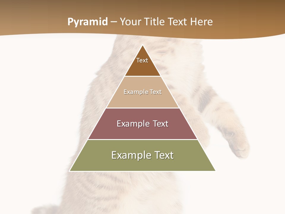 Carnivore Pet Looking PowerPoint Template