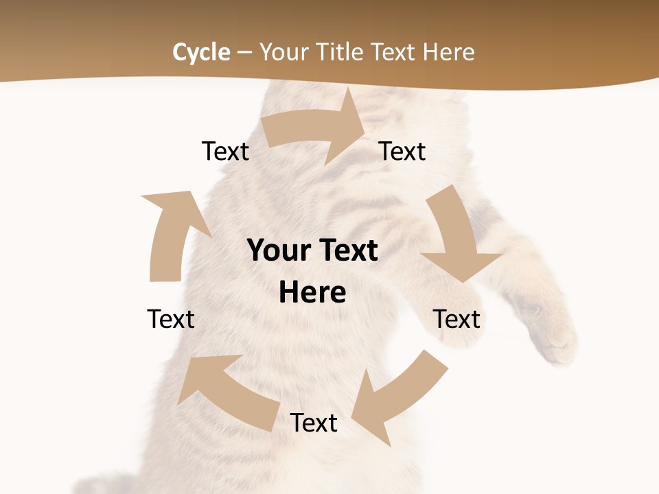 Carnivore Pet Looking PowerPoint Template