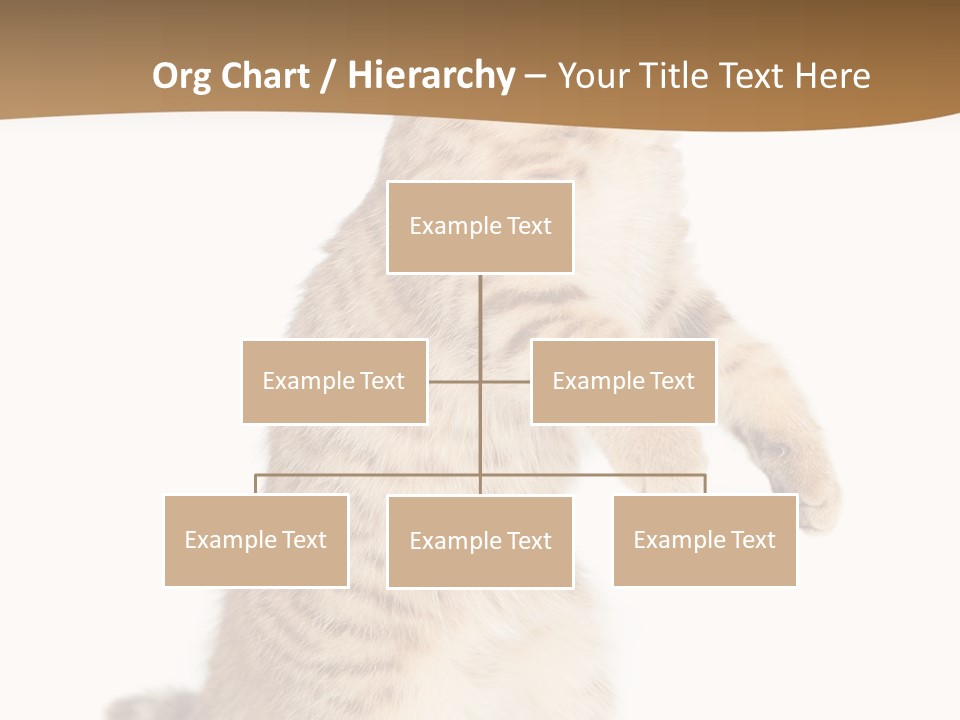 Carnivore Pet Looking PowerPoint Template