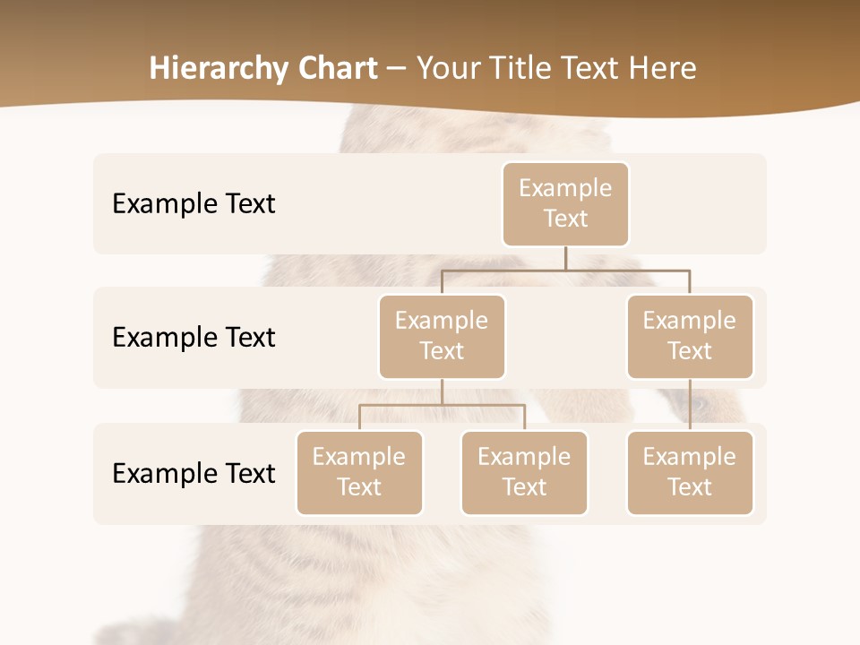 Carnivore Pet Looking PowerPoint Template