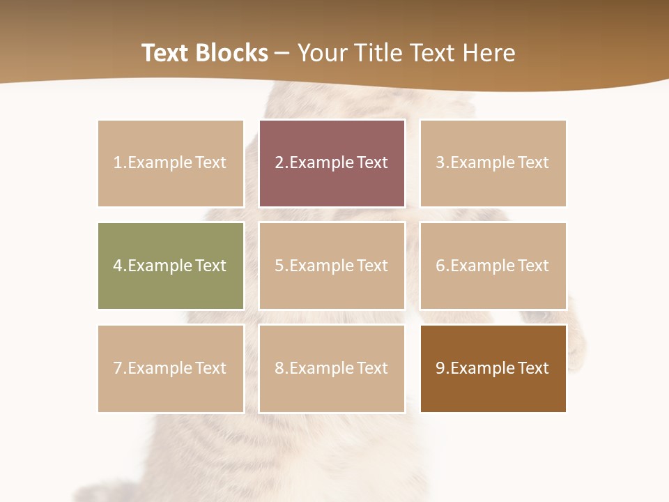 Carnivore Pet Looking PowerPoint Template