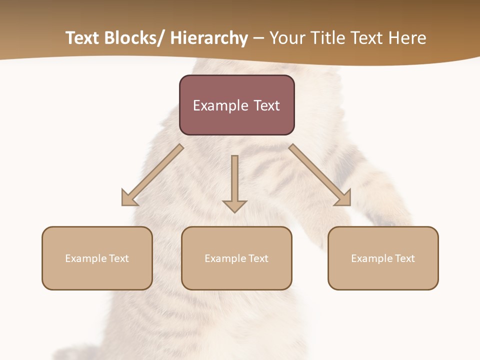 Carnivore Pet Looking PowerPoint Template