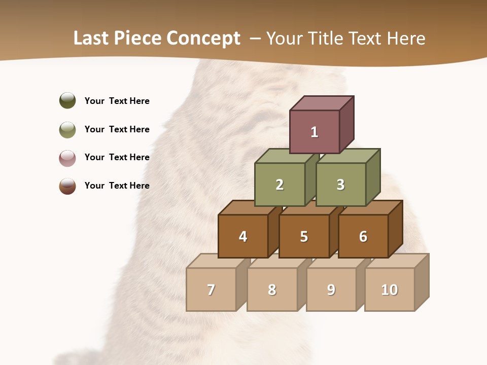 Carnivore Pet Looking PowerPoint Template