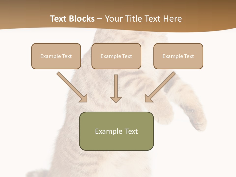Carnivore Pet Looking PowerPoint Template
