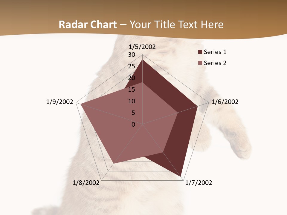 Carnivore Pet Looking PowerPoint Template