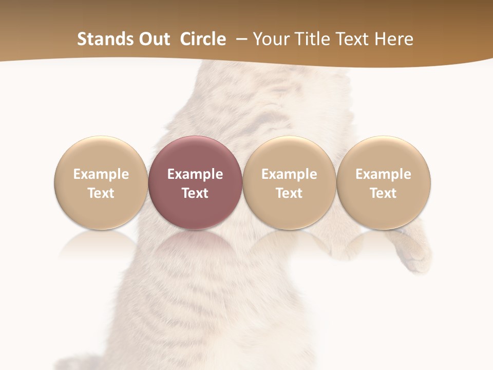 Carnivore Pet Looking PowerPoint Template