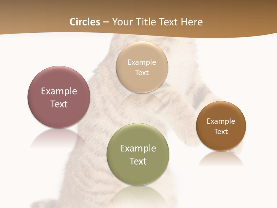Carnivore Pet Looking PowerPoint Template