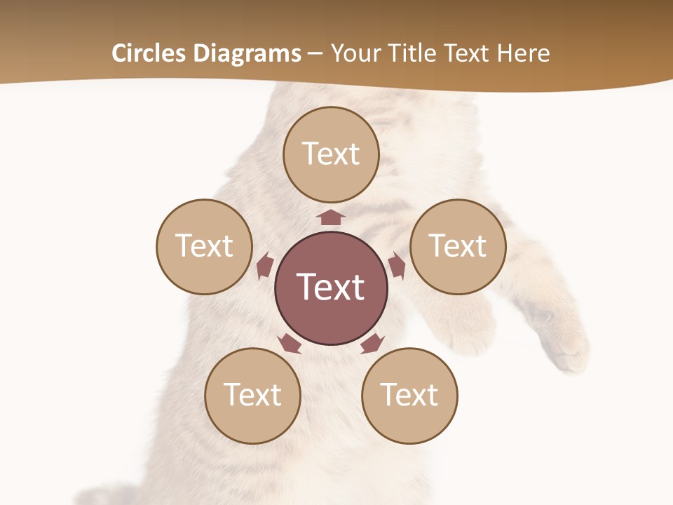 Carnivore Pet Looking PowerPoint Template