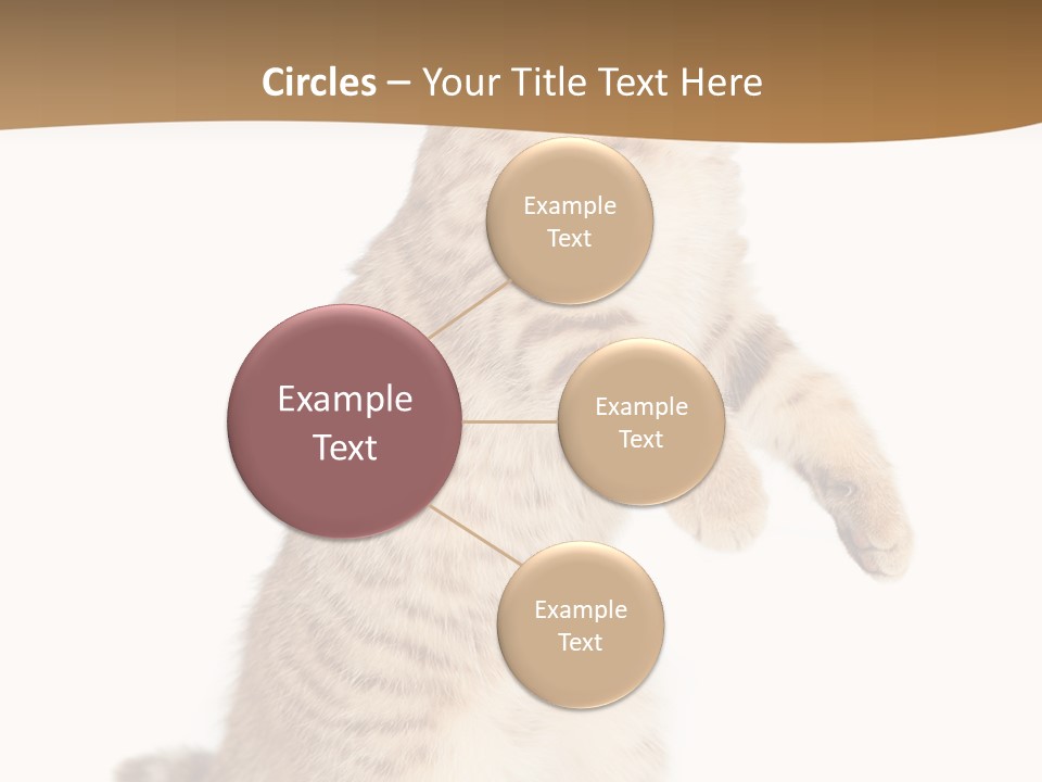 Carnivore Pet Looking PowerPoint Template