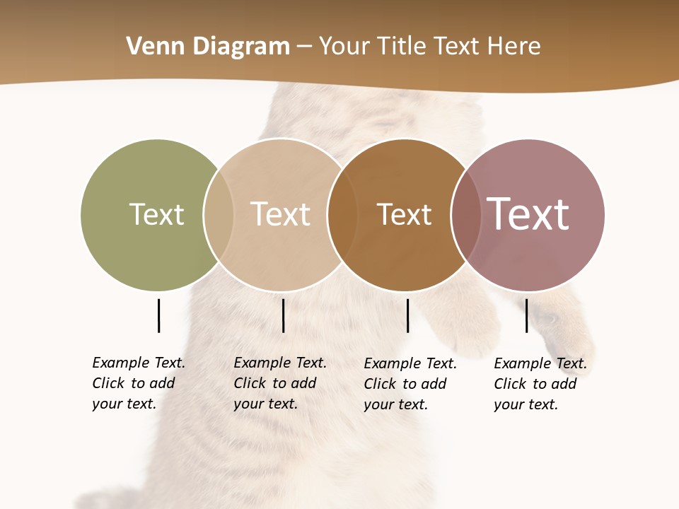 Carnivore Pet Looking PowerPoint Template